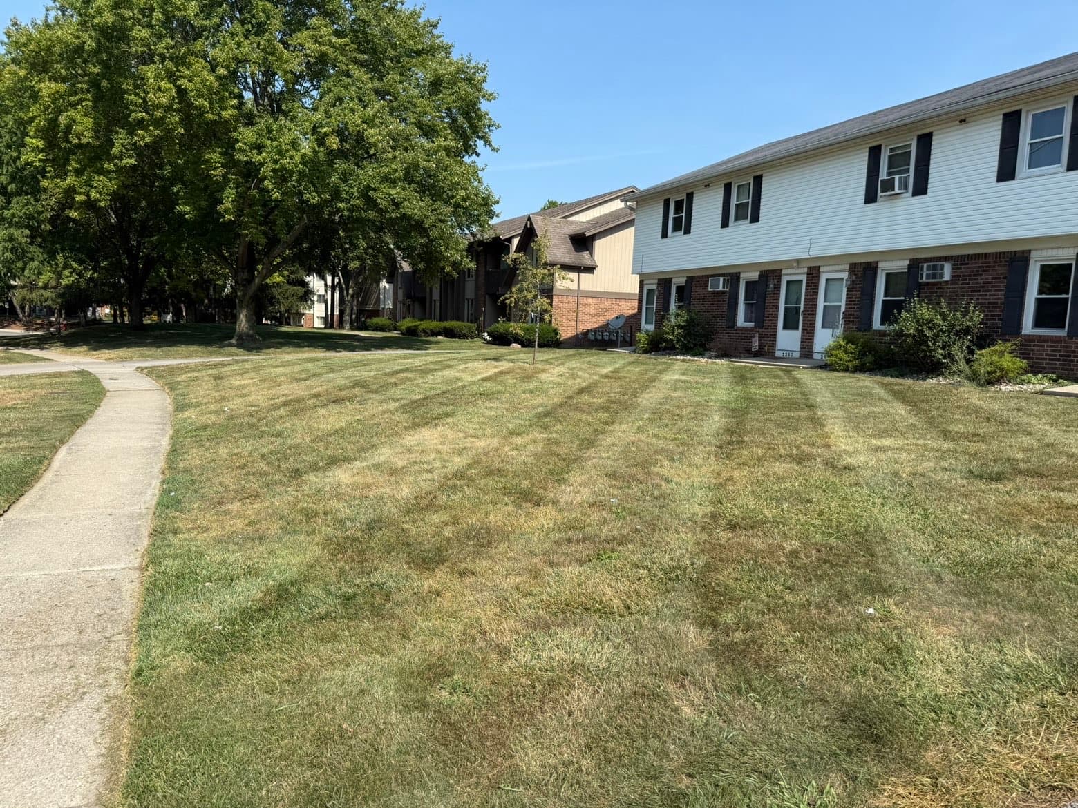 picture of a lawn mowed by TEC